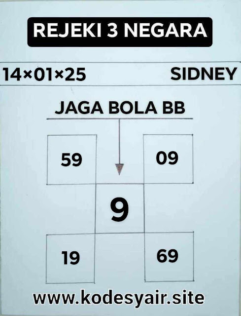 SYAIR SDY VIP